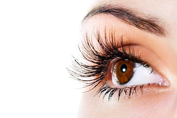 Eyelash Hair Transplant in Dubai and Evaluating Donor Hair Availability